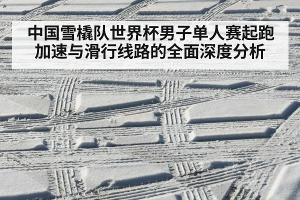 中国雪橇队世界杯男子单人赛起跑加速与滑行线路的全面深度分析